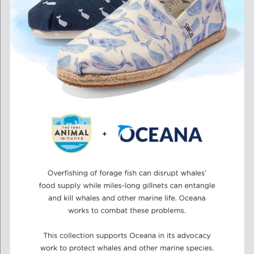 🐳Oceans blue whale Toms - Picture 8 of 8